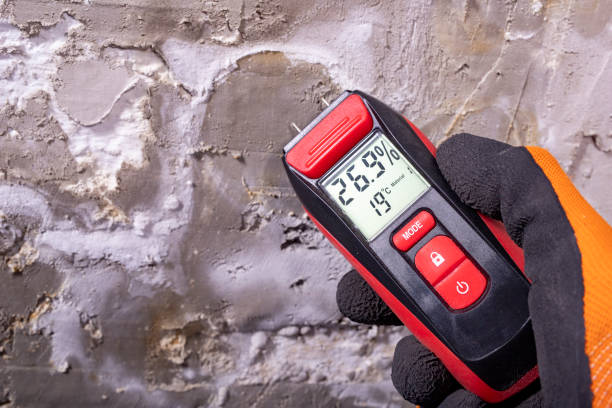 Best Crawl Space Mold Removal  in Bogota, NJ
