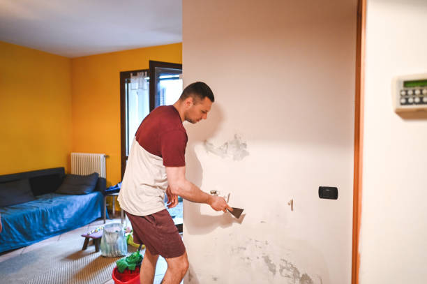 Best Attic Mold Removal  in Bogota, NJ